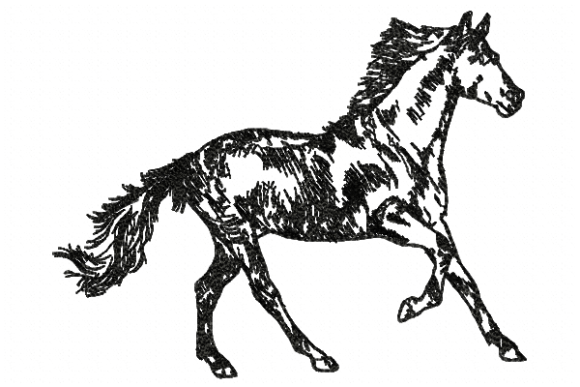 Horse Line