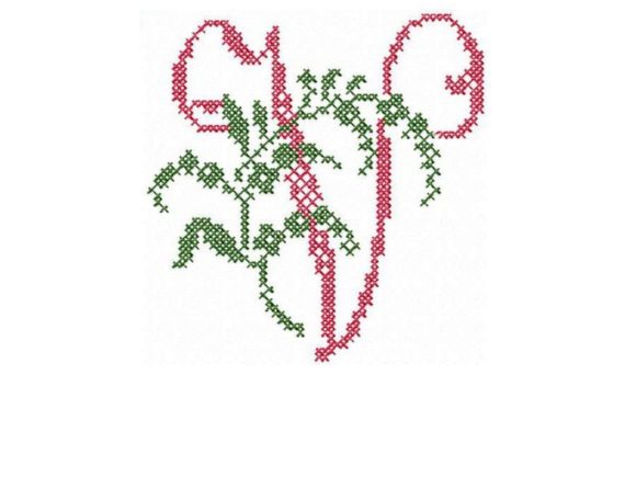 Monogram Letter V